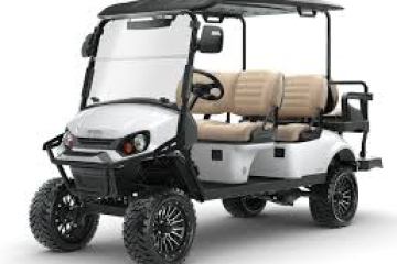 a person driving a car